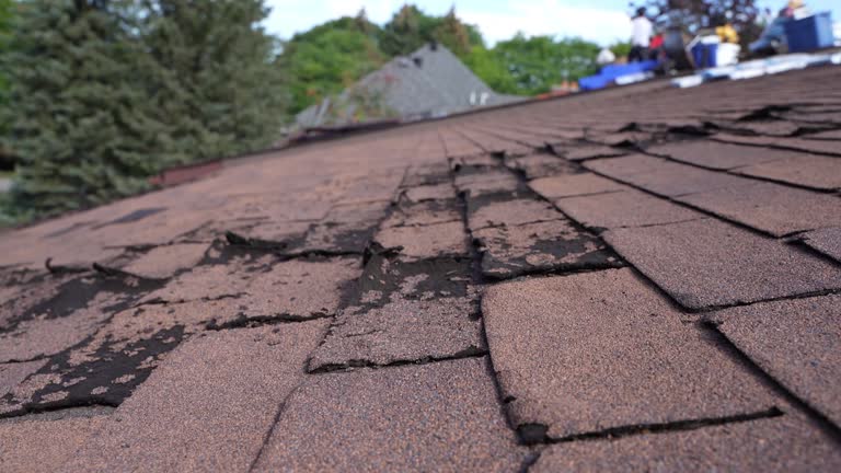 Best Roof Replacement  in Woodstock, IL