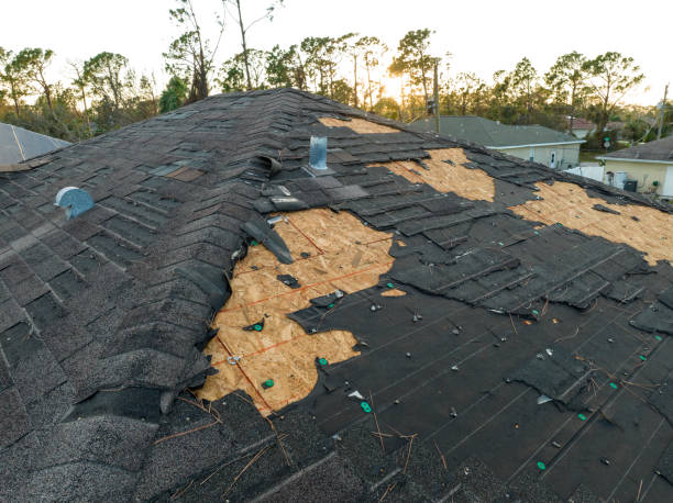 Best Hot Roofs  in Woodstock, IL