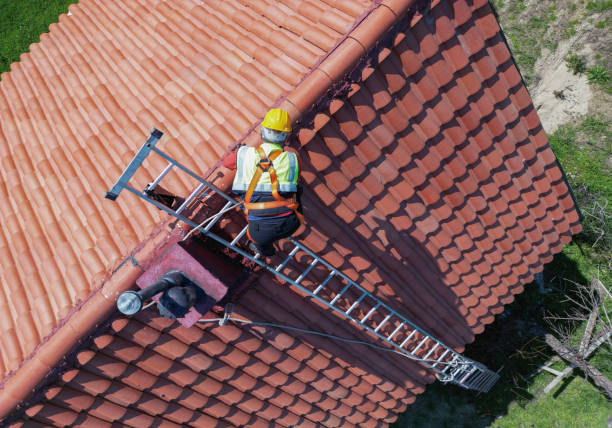 Best Asphalt Shingles Roofing  in Woodstock, IL