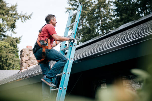 Best Rubber Roofing (EPDM, TPO)  in Woodstock, IL